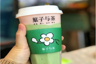 加盟葉子與茶需多少費(fèi)用？冰淇淋加盟機(jī)遇解析